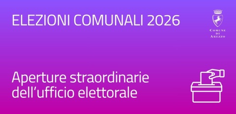 elezioni 