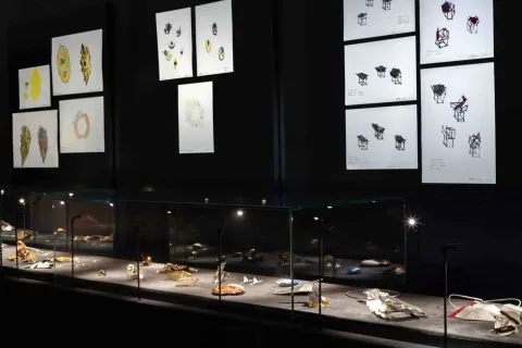 Museo