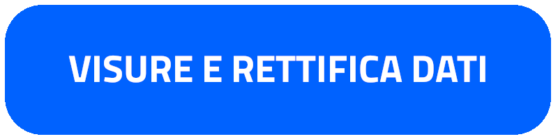 visure e rettifica dati