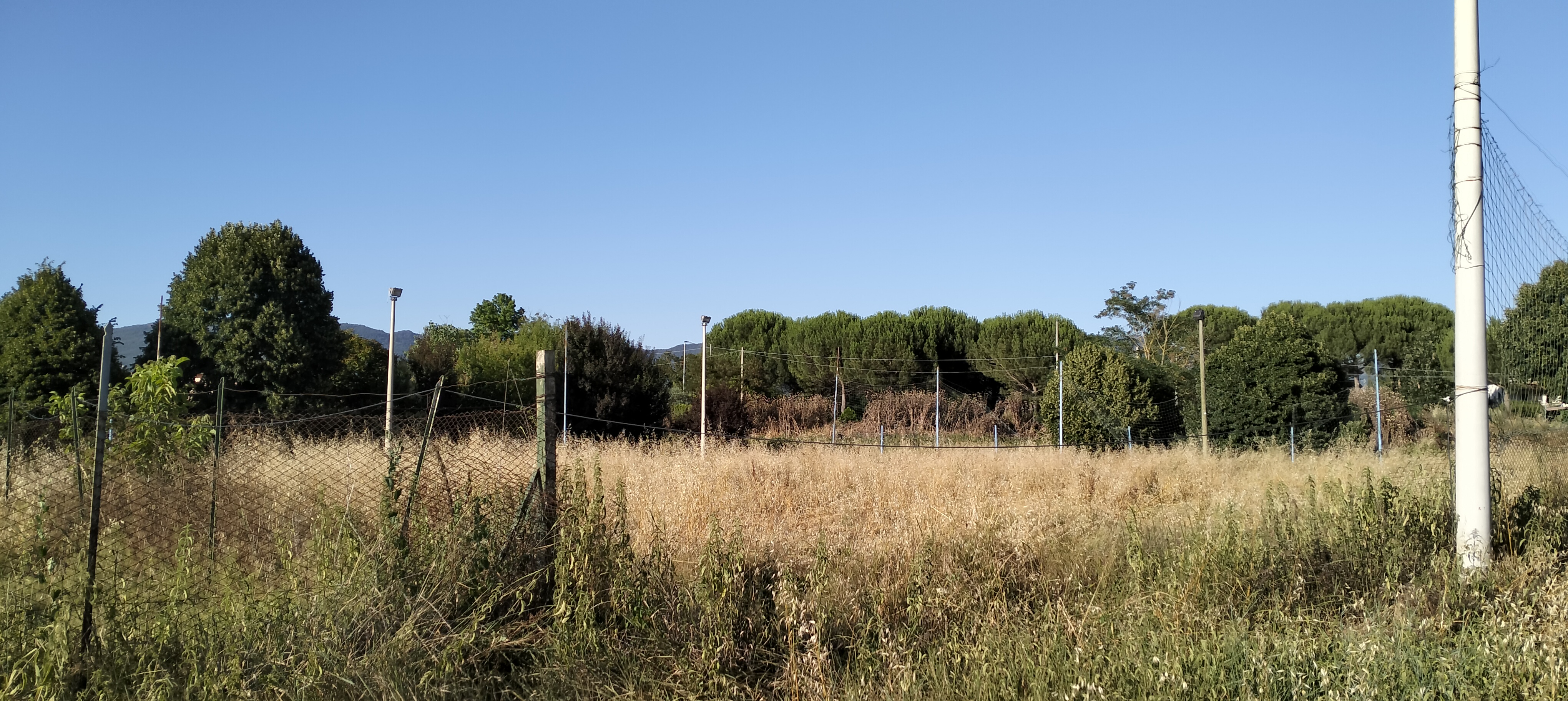 menchetti frassineto